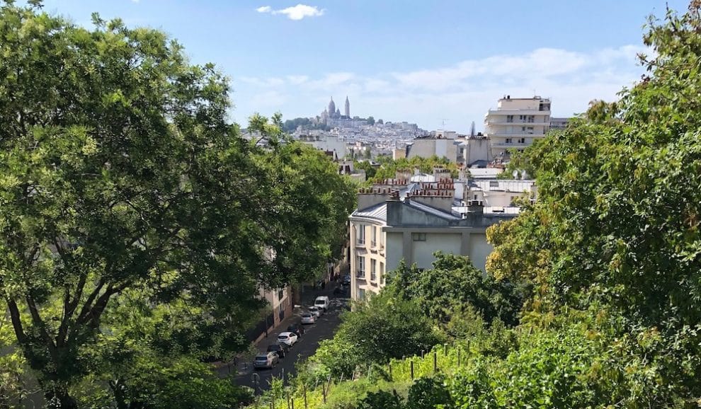 jardin partagé des habitants de la butte bergeyre