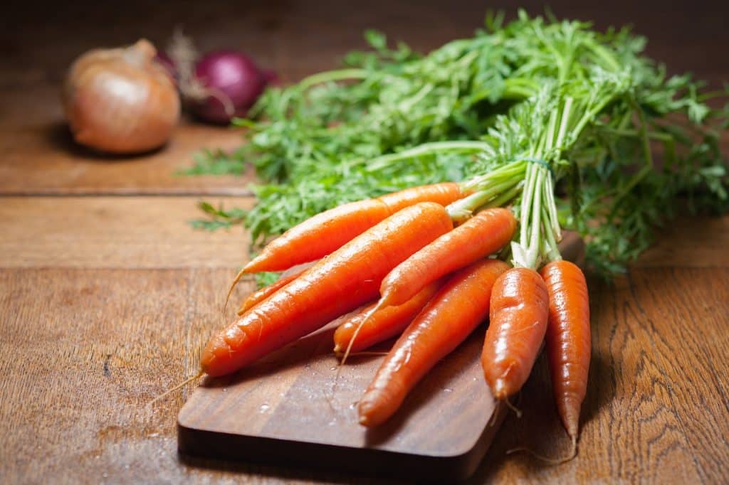 quand semer les carottes