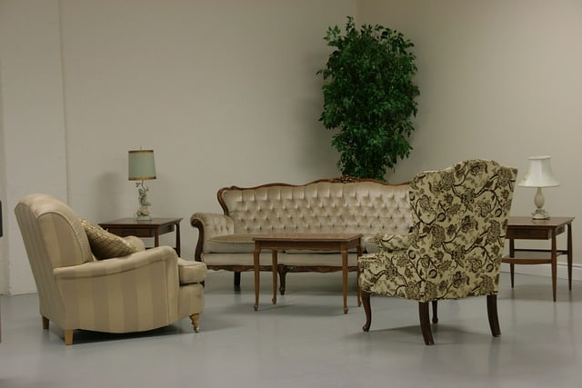 grande plante d intérieur