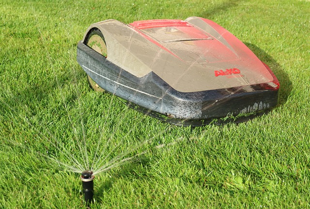 arrosage automatique pelouse