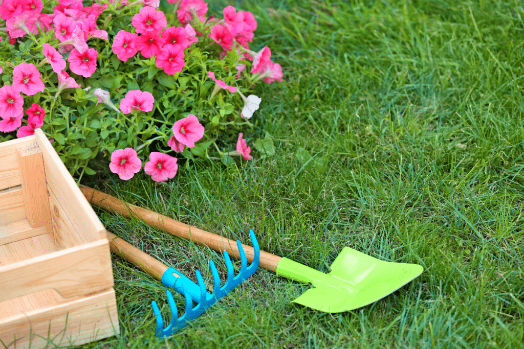 Comment faire pour avoir un gazon sans mousse