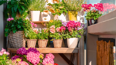 fleurs au balcon