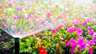 arrosage automatique au jardin