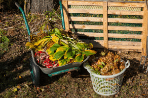 Comment utiliser les feuilles mortes efficacement