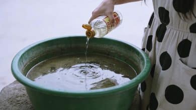 Bassine verte trouble avec femme versant vinaigre