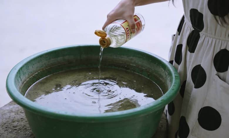 Bassine verte trouble avec femme versant vinaigre