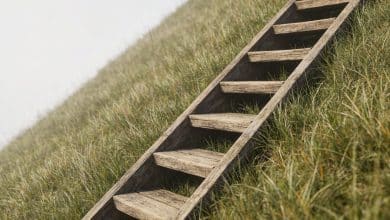 Escalier en bois monte une pente herbeuse raide