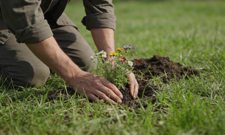 jardinier agenouille plante fleurs sauvages dans pelouse