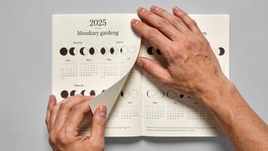 mains feuilletant calendrier lunaire de jardinage 2025