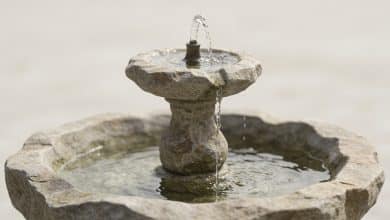 Petite fontaine en pierre au centre du jardin