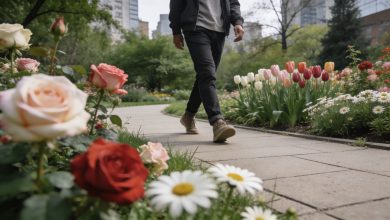 Promenade dans un jardin botanique urbain fleuri