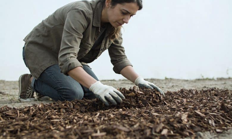 Femme agenouillee etalant du paillis de jardin