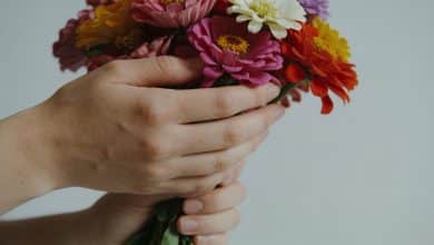 Gros plan mains tenant bouquet fleurs multicolores