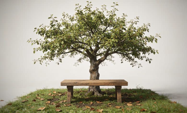 Petit jardin avec arbre central feuillu et banc