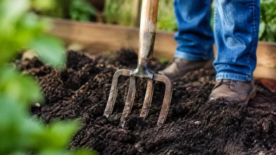 Fourche plantee dans une pile de terreau sombre