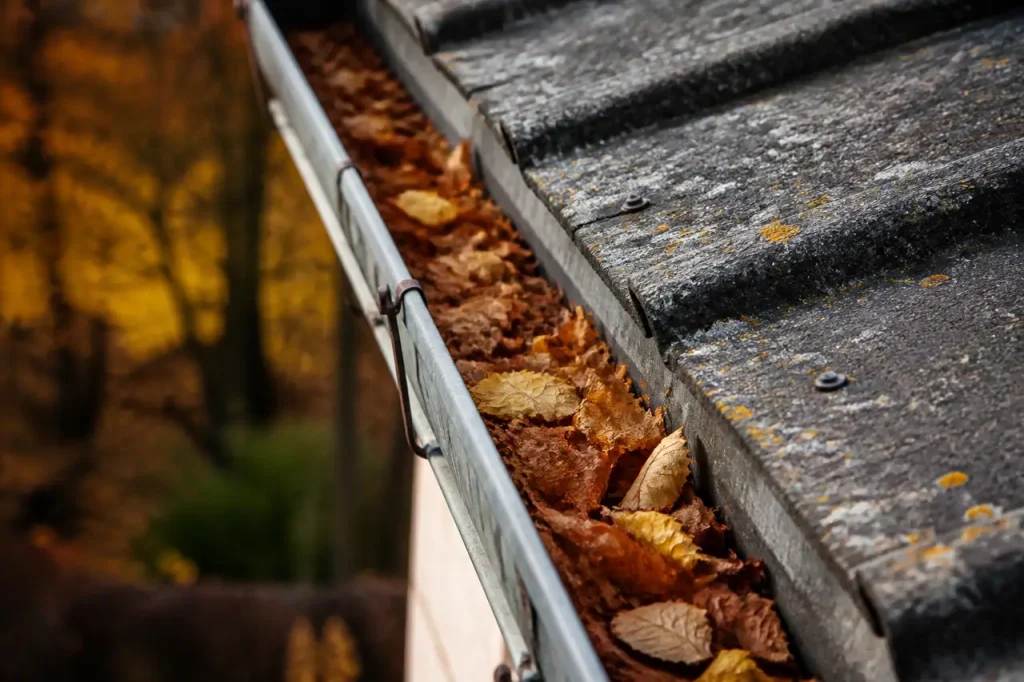 Gouttiere en zinc remplie de feuilles mortes