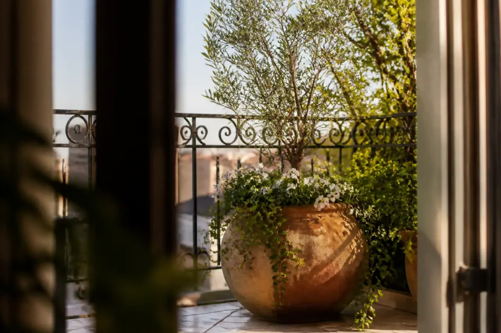 Grand pot en terre cuite sur balcon avec plantes