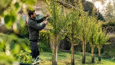 Jardinier debout taille branches de cinq jeunes arbres