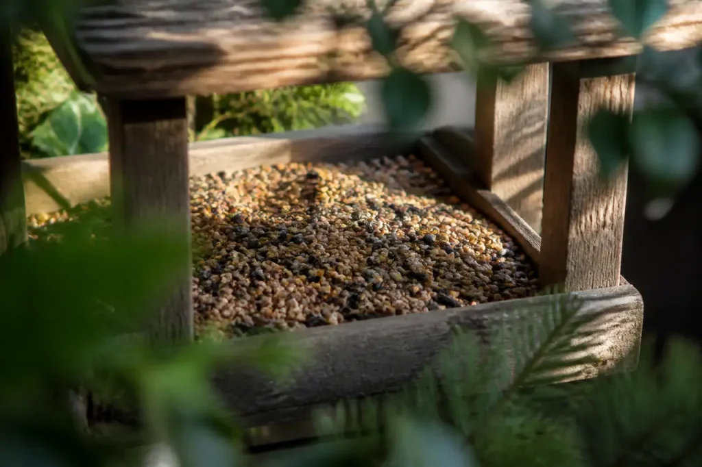 Mangeoire en bois remplie de graines intactes