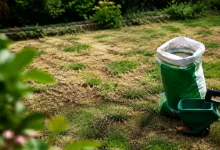 Pelouse degarnie, sac de semences pose au sol