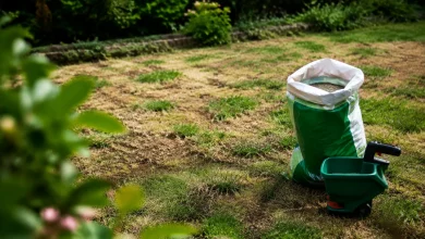 Pelouse degarnie, sac de semences pose au sol