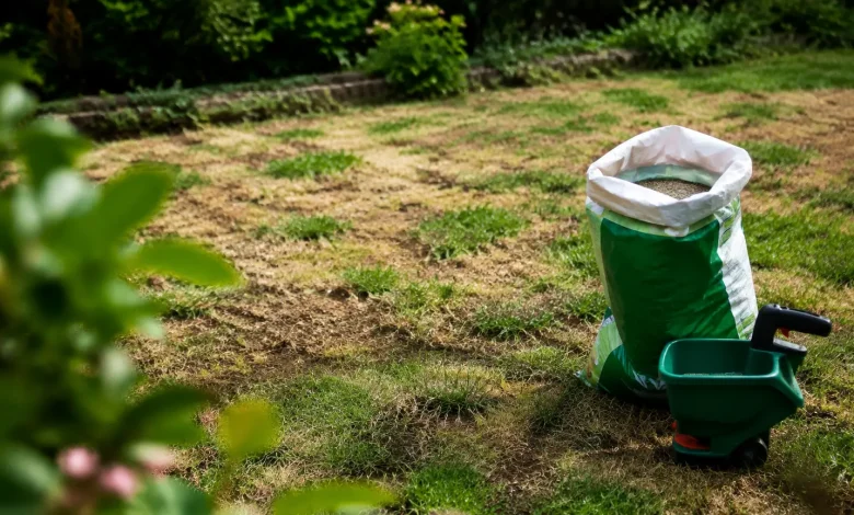 Pelouse degarnie, sac de semences pose au sol
