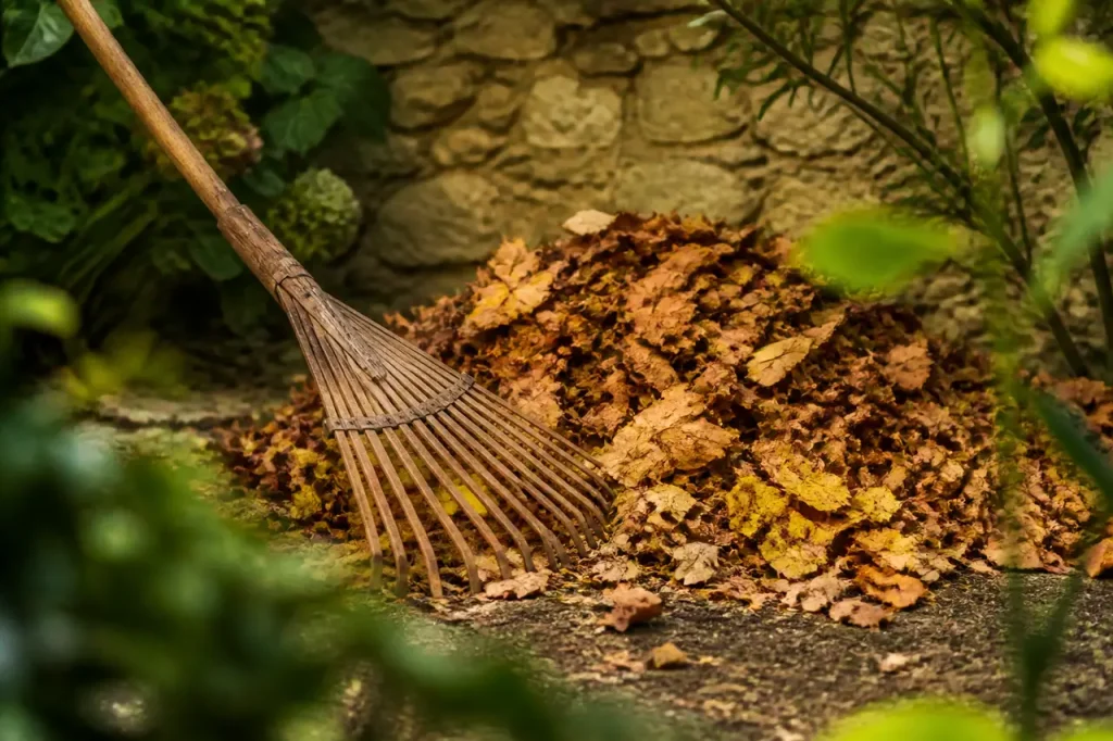Rateau en bois contre un tas de feuilles mortes