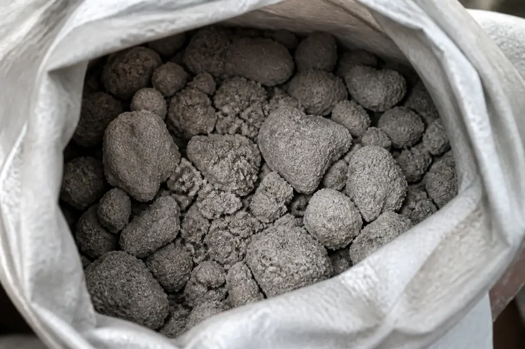 Sac de substrat sec avec mottes grisees