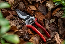 Secateur pose sur un parterre de feuillage brun