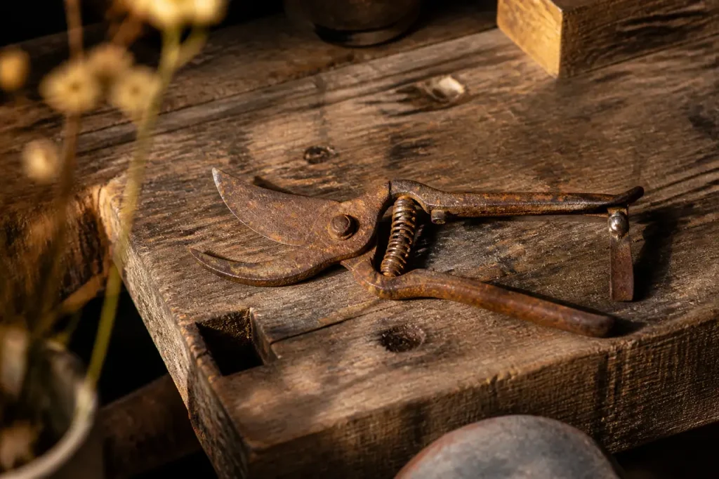 Secateur rouille pose sur un etabli en bois