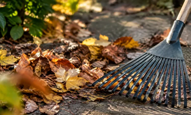 Tas de feuilles mortes sur sol dur, rateau pose